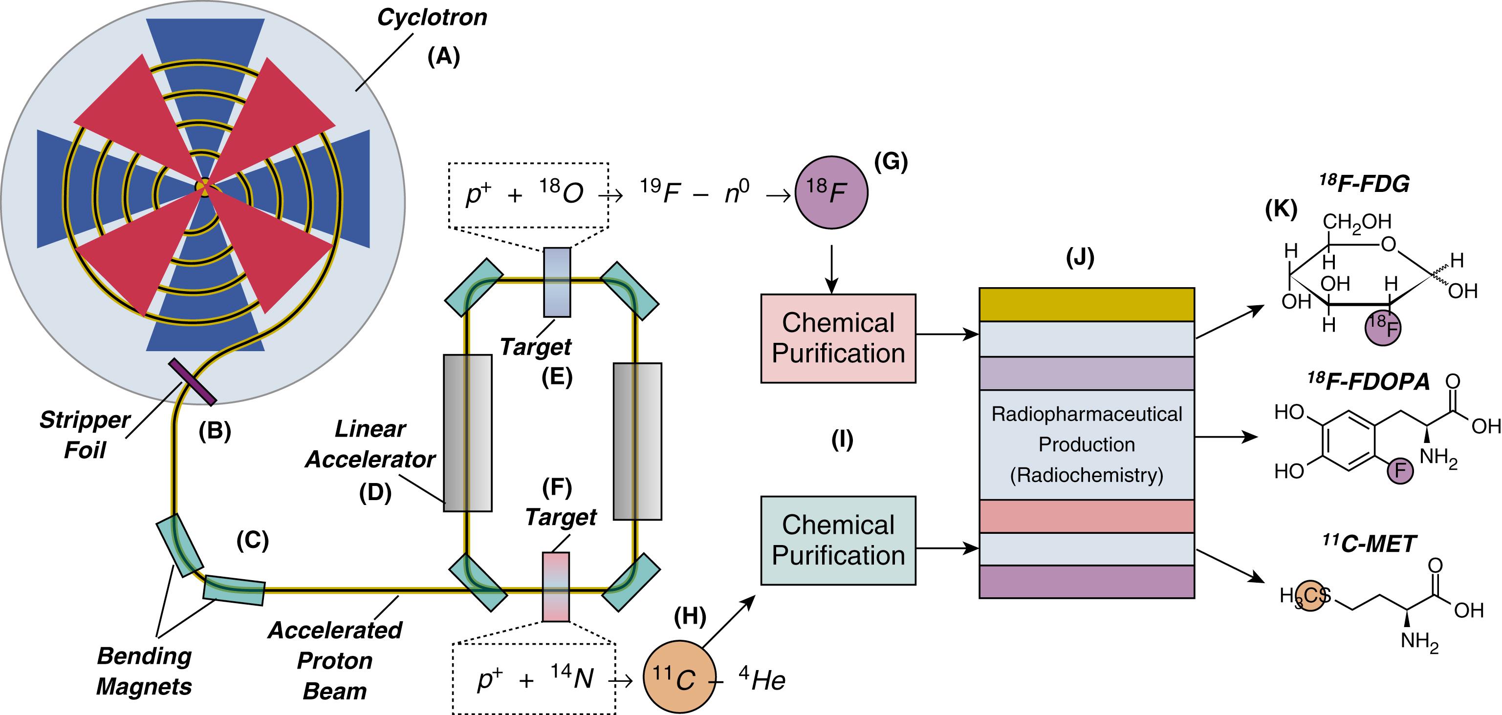 Figure 13.1, Radiotracer generation using a cyclotron.