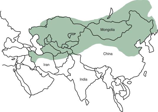 Figure 31-1, The central Asian esophageal cancer belt extending from Iran to China.