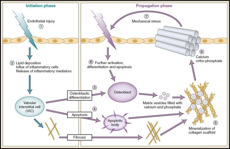 Fig. 3.6, The Propagation Phase.