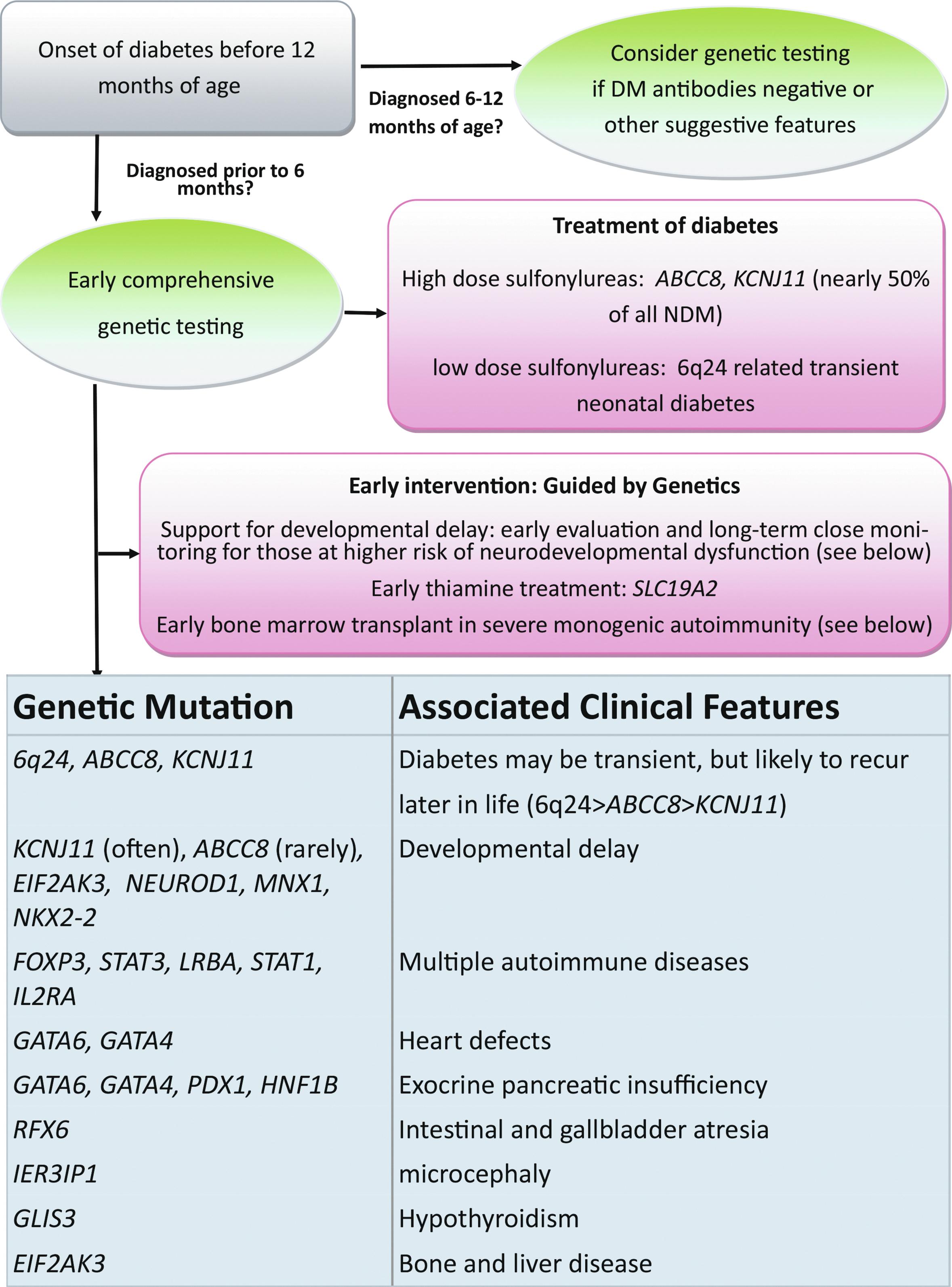 Fig. 10.2, Schematic representation of genetic diagnosis and management of neonatal diabetes mellitus.