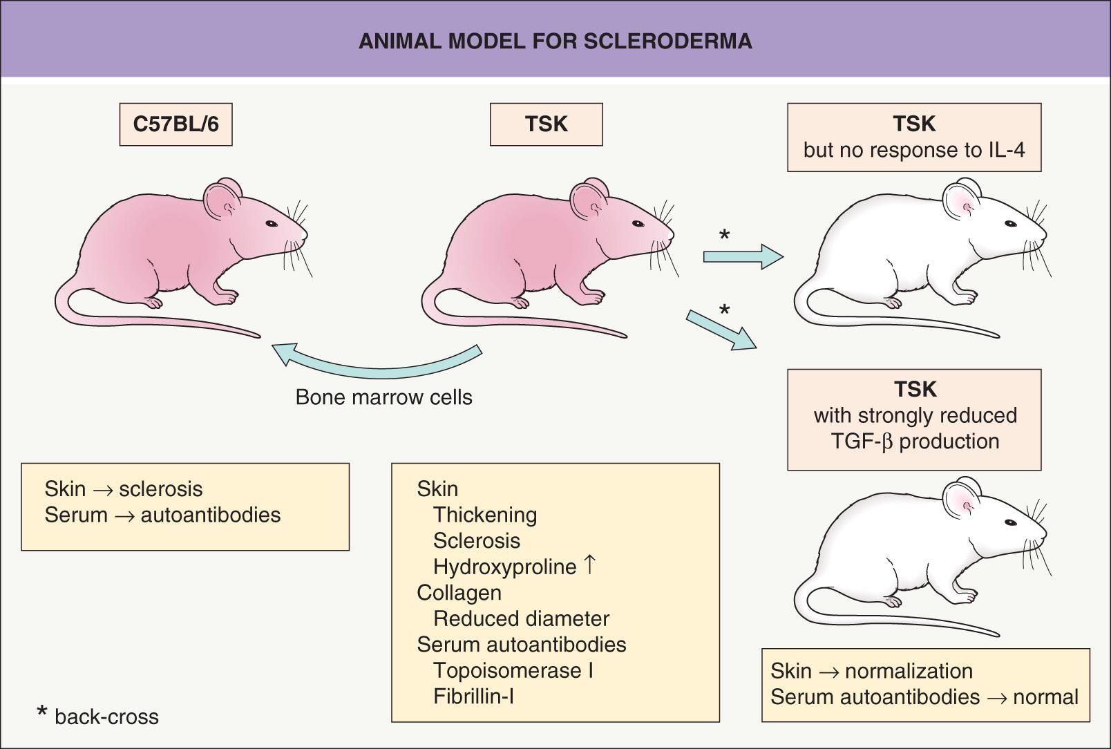 Fig. 44.2, Animal model for scleroderma.