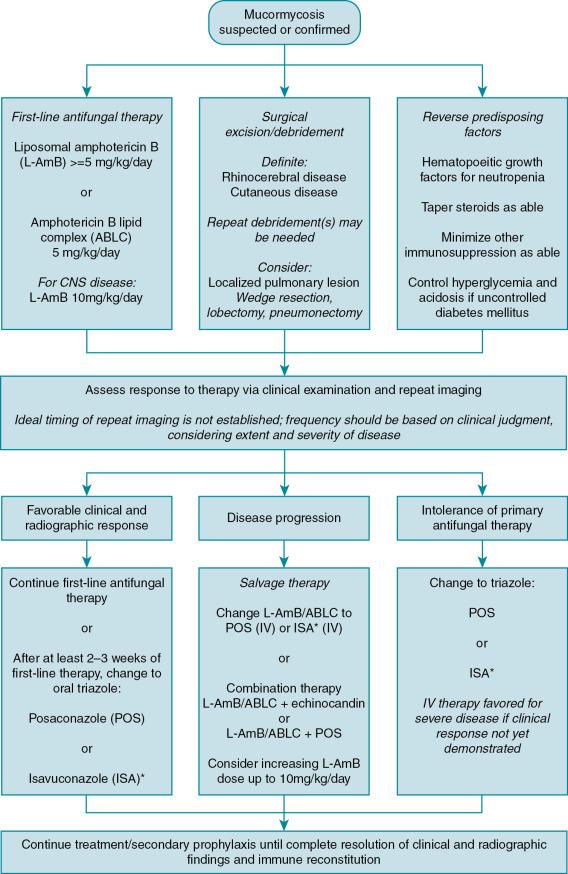 Fig. 25.3, Treatment algorithm for mucormycosis. The approach is based on the authors’ synthesis of clinical guidelines, expert opinion reviews, and the available pediatric literature. *Isavuconazole is currently licensed for adults 18 years and older; off-label use in pediatric patients should be based on clinical judgement and pharmacotherapy expertise. IV, intravenous.