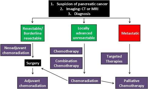 Figure 3.1, Current Therapy Options in Management of Pancreatic Cancer.