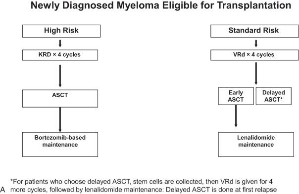 Figure 101.7, (A) Algorithm for approach to the treatment of newly diagnosed myeloma in patients eligible for stem cell transplantation. (B) Approach to the treatment of newly diagnosed myeloma in patients not eligible for stem cell transplantation. ASCT, Autologous stem cell transplantation; KRd, carfilzomib, lenalidomide, and dexamethasone; VRd, bortezomib, lenalidomide, dexamethasone.