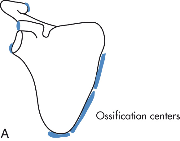 FIG. 5.37