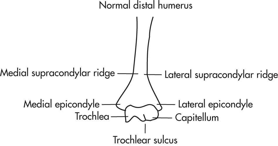 FIG. 5.48