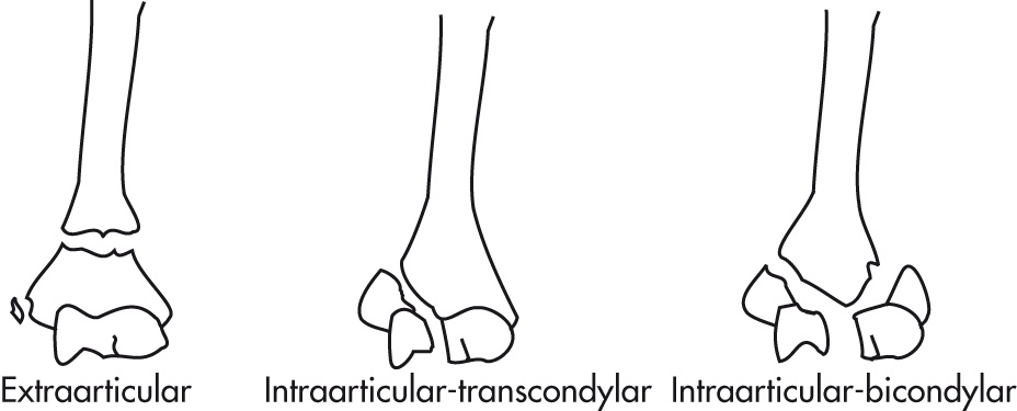 FIG. 5.49