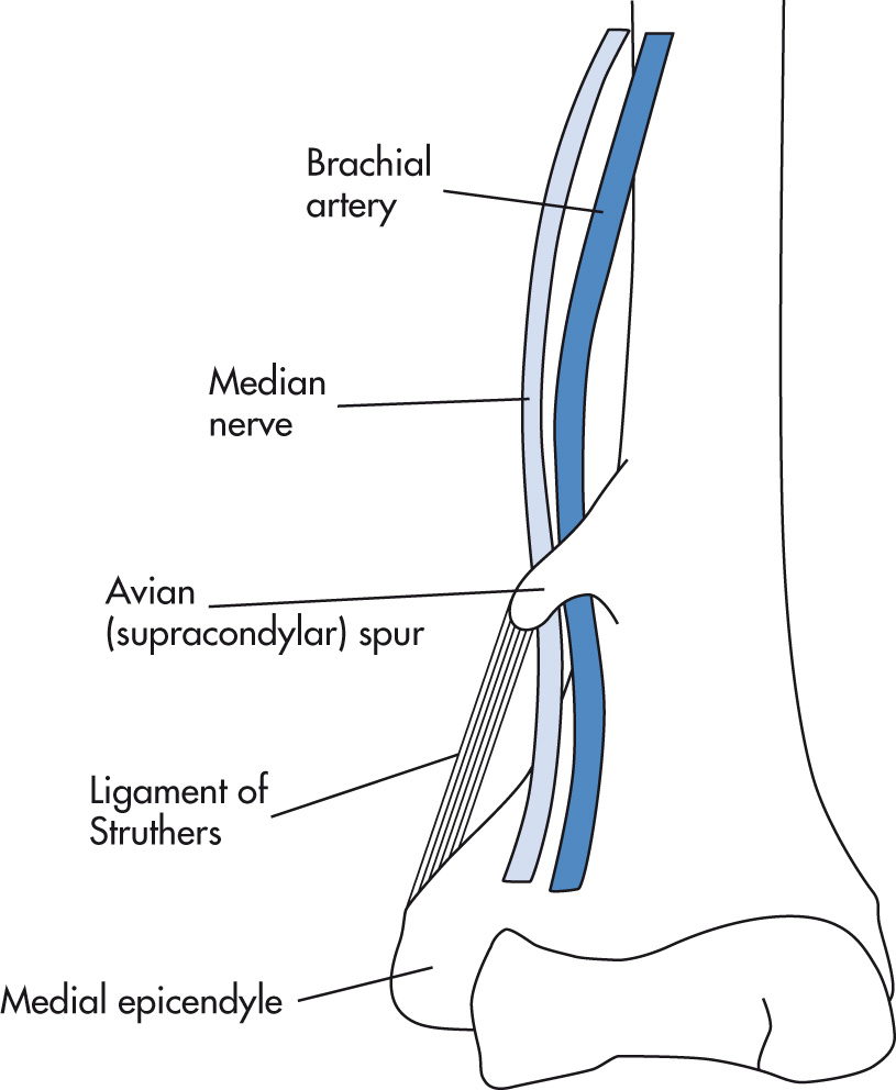 FIG. 5.55