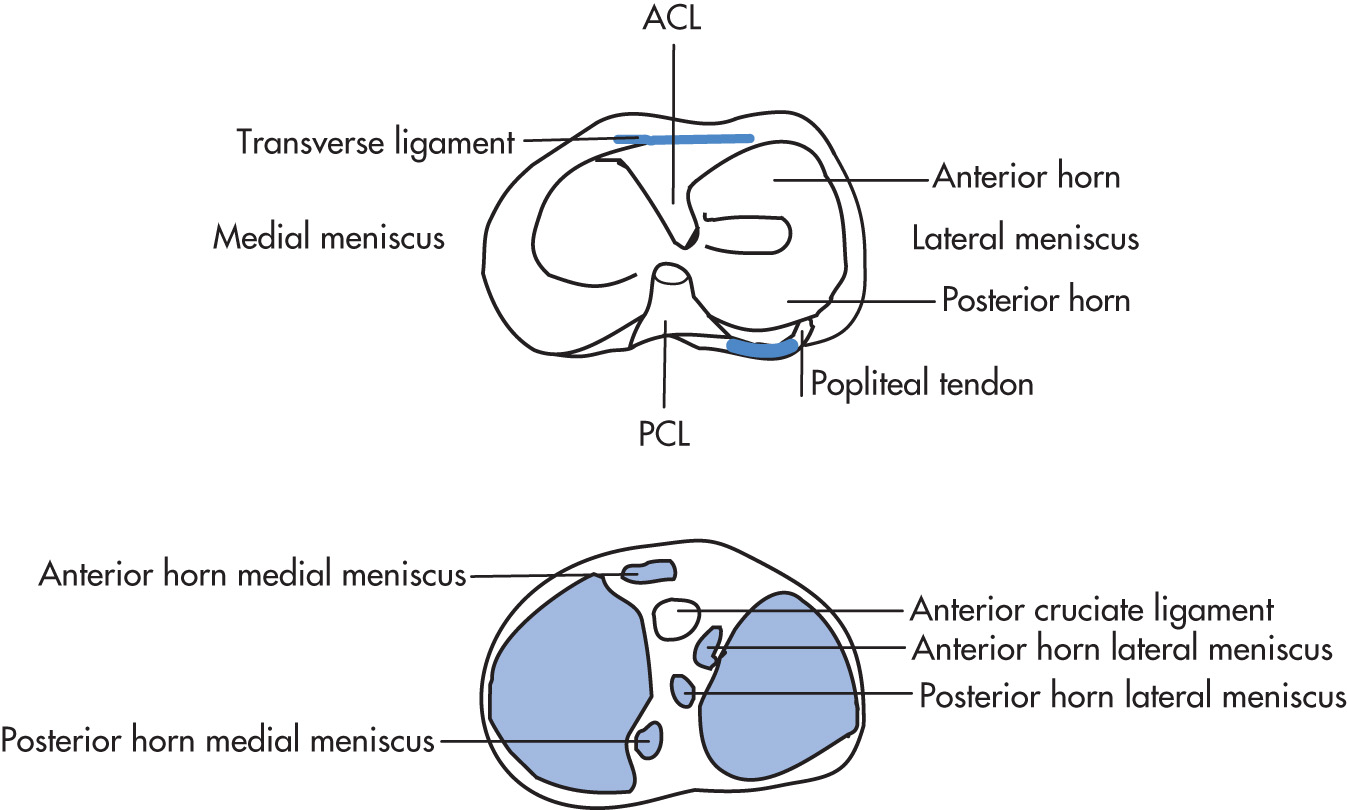 FIG. 5.79