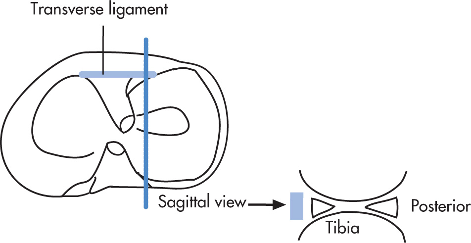 FIG. 5.81