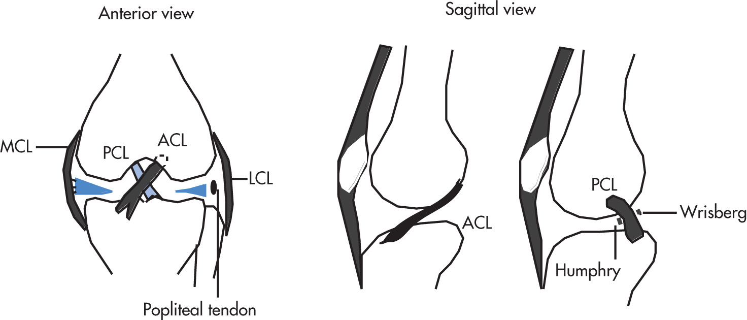 FIG. 5.82