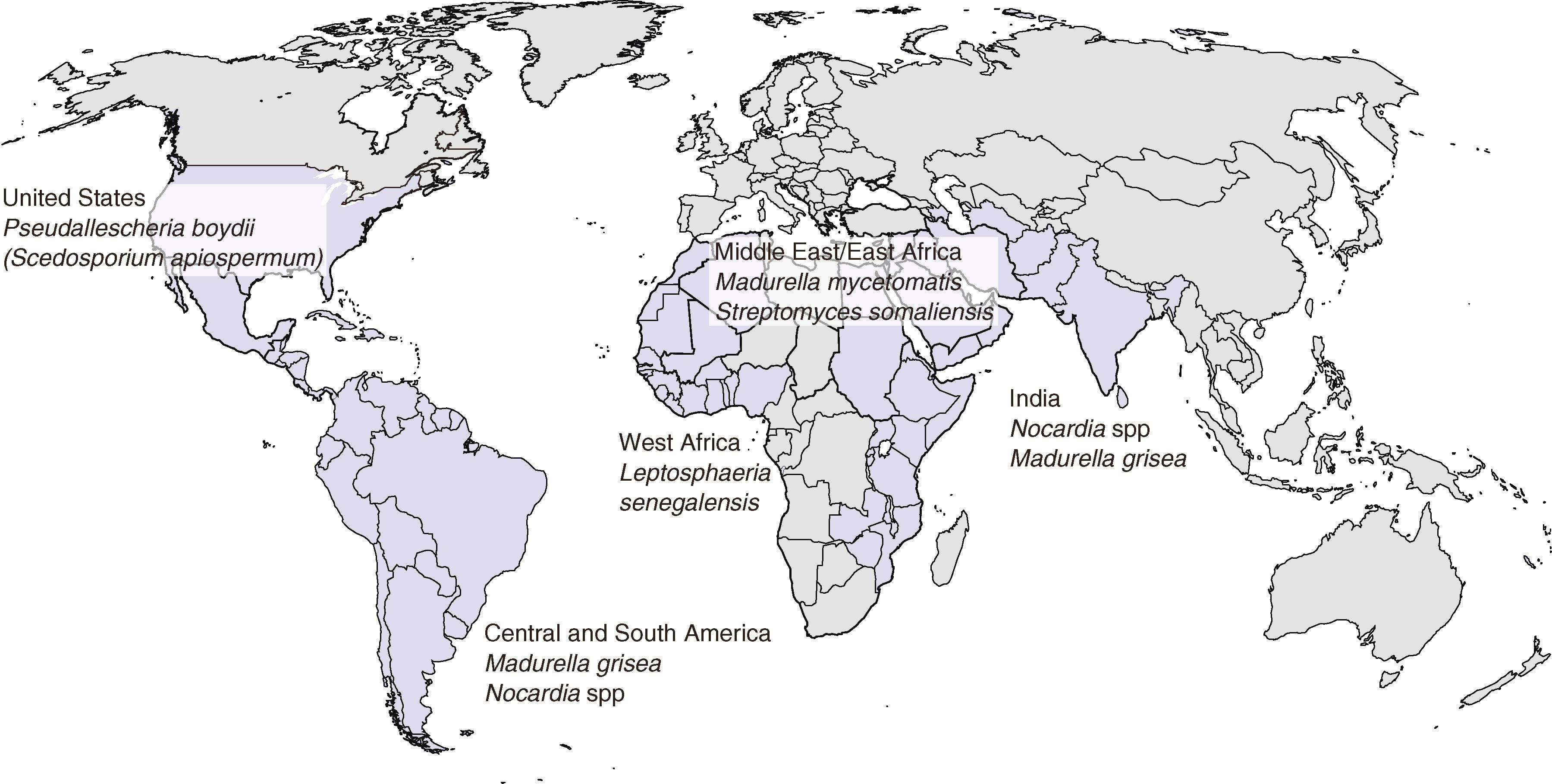 E-FIGURE 314-1, Predominant agents of mycetoma according to region.