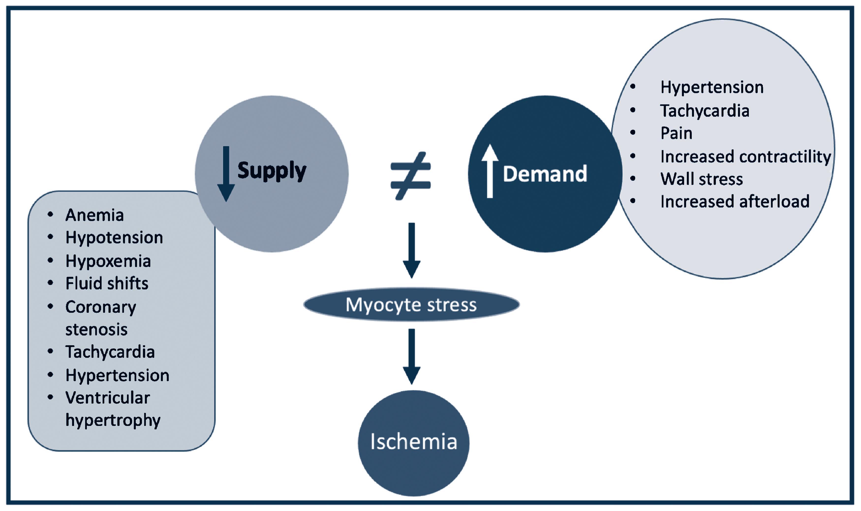 Fig. 62.1, Myocardial supply demand physiology is determined by a complex interplay of factors with occasionally conflicting impacts. Some examples: Hypertension can increase O 2 demand through increased afterload but increased diastolic pressure may improve O 2 supply. Tachycardia certainly increases O 2 consumption per minute but on the arguably more important per beat frame, tachycardia decreases diastolic perfusion time. Left ventricular hypertrophy may associate with increase O 2 consumption while attenuating diastolic flow because of muscle thickness.