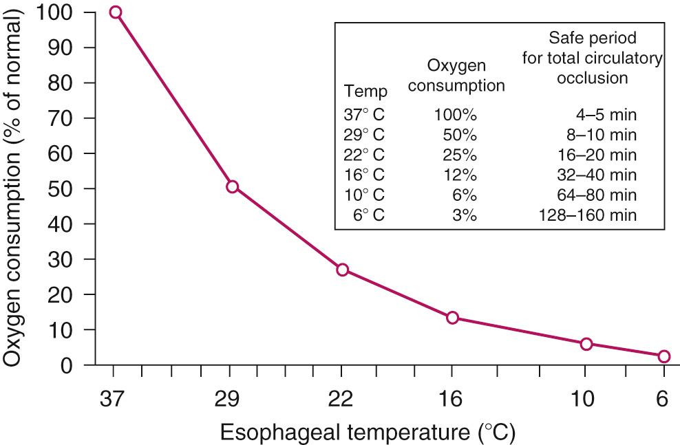 FIGURE 65-1, Relationship between body temperature and oxygen consumption in dogs cooled by means of an extracorporeal pump (mean value for 10 dogs).