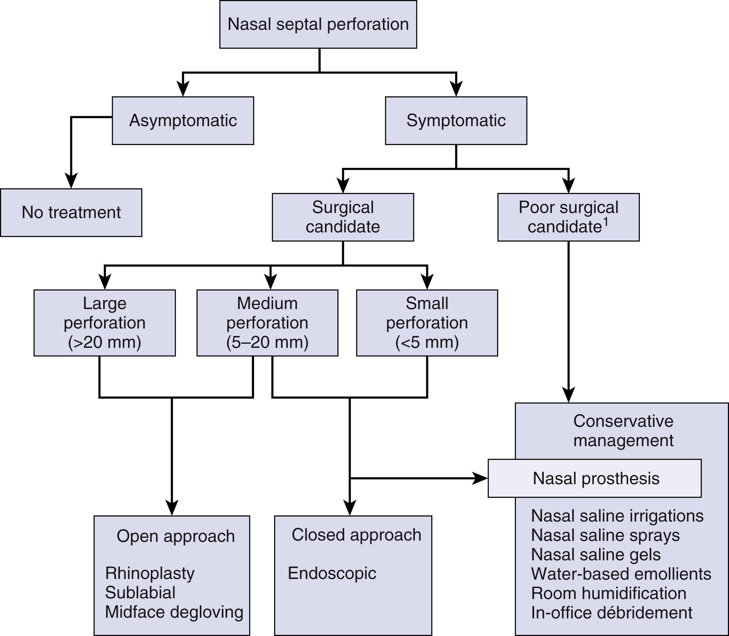 Fig. 96.2, Nasal septal perforation treatment algorithm.