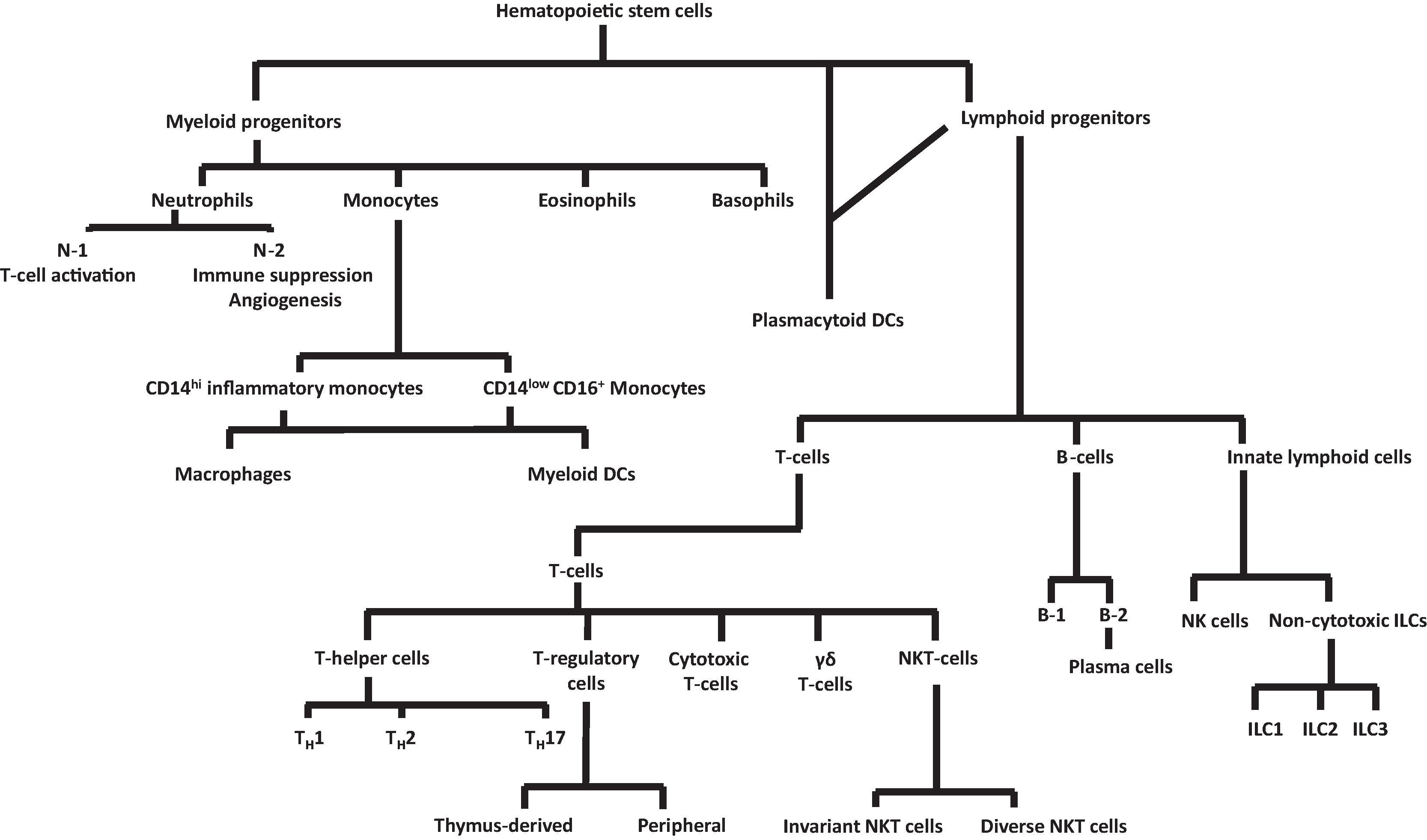 Fig. 56.3, Heterogeneity in Various Leukocyte Subsets . DCs , Dendritic cells; ILCs , innate lymphoid cells; NK , natural killer; NKT , natural killer T cell.