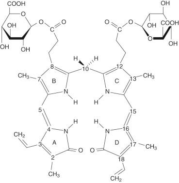 Figure 4-3, Bilirubin diglucuronide.