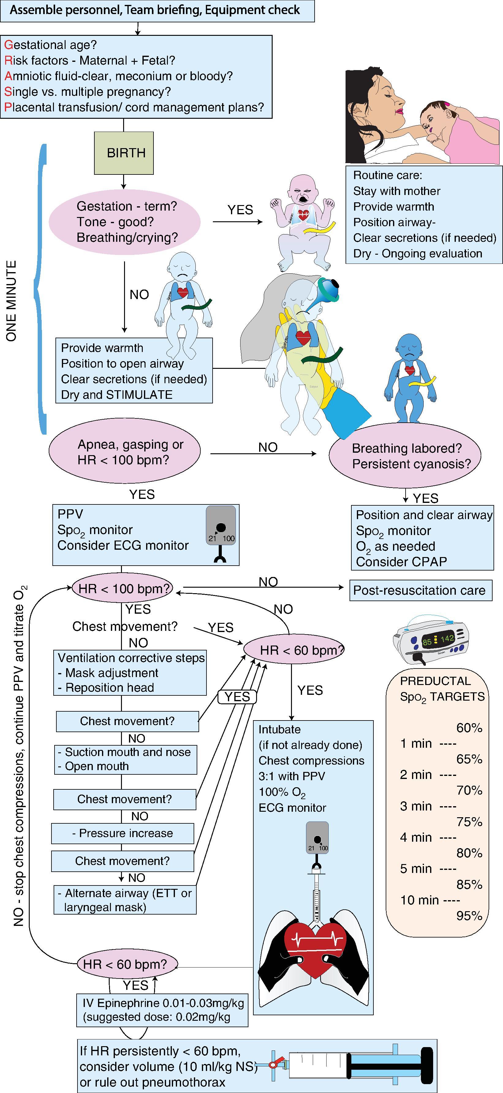 Fig. 8.3, Pictorial Flow Diagram of Neonatal Resuscitation .