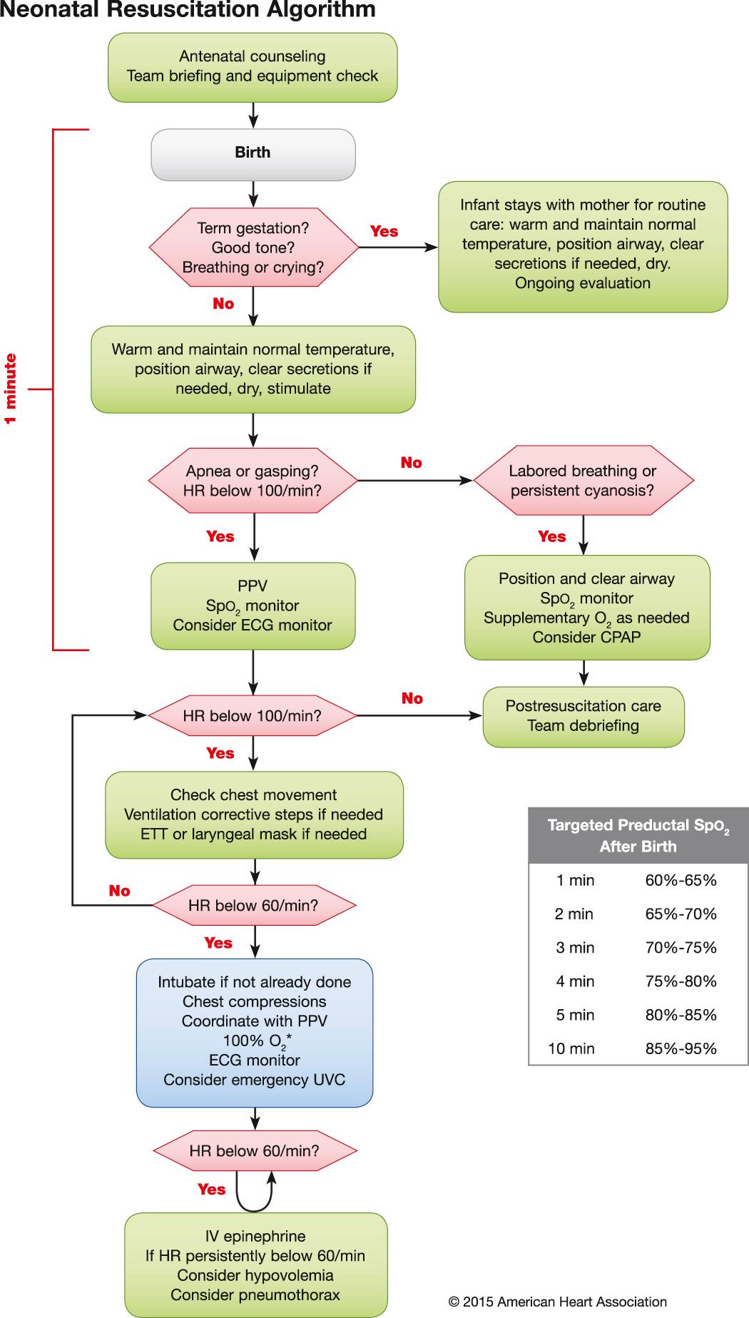 Fig. 121.2, Newborn resuscitation algorithm.