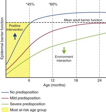 Figure 5.2, An illustrative representation of the proposed development of AD with age.