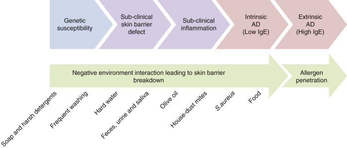 Figure 5.3, Gene–environment interaction and the progression of AD.