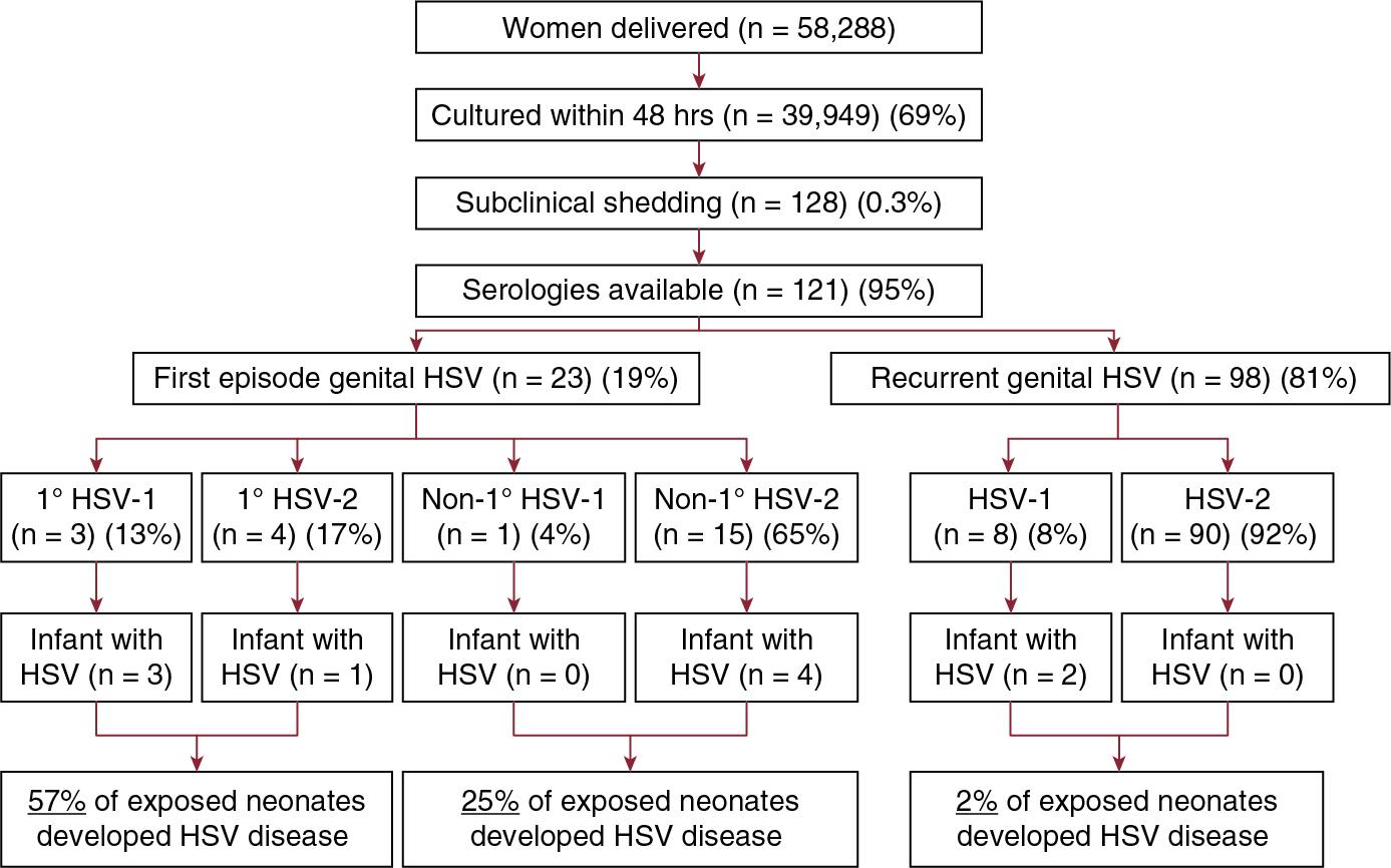 Fig. 12.1, Risk of neonatal herpes simplex virus (HSV) disease as a function of the type of maternal infection. 1°, Primary infection.