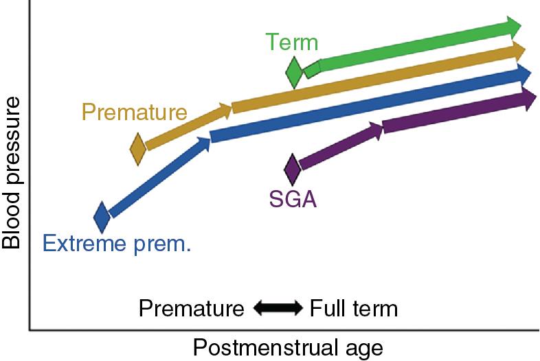 Fig. 16.4, Pattern of evolution of neonatal blood pressure over the first days and weeks of life. Prem. , prematurity; SGA , small for gestational age.