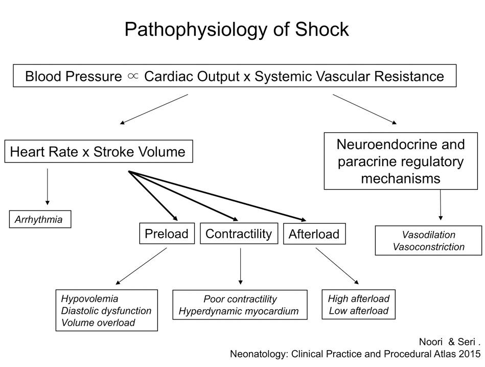 Fig. 15.3, Pathophysiology of neonatal shock. In accordance to Ohm’s law, the two primary determinants of blood pressure are cardiac output and systemic vascular resistance. These two independent variables can be further broken down into the different hemodynamic variables shown.