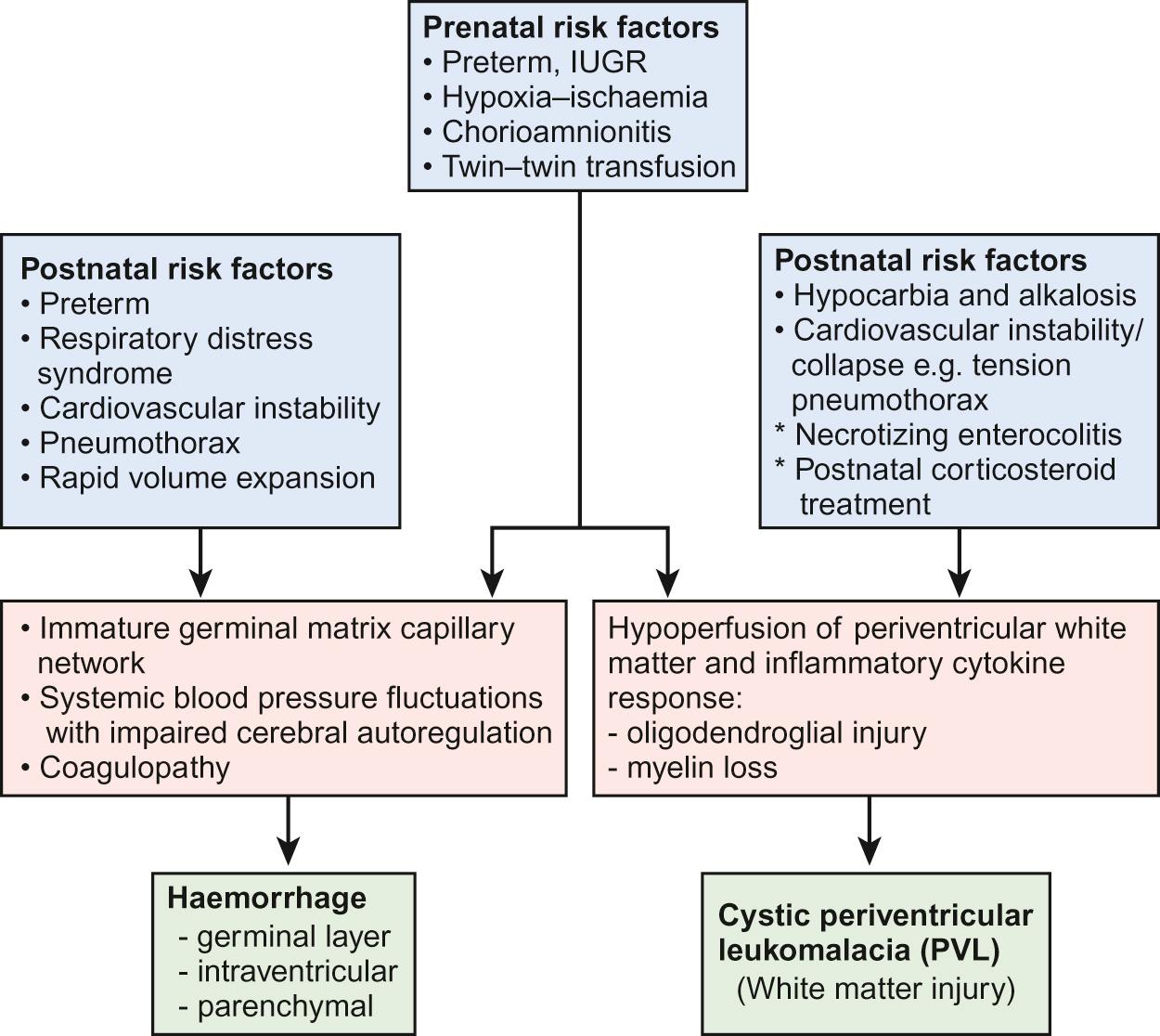 Fig. 11.5, Pathogenesis of periventricular-intraventricular haemorrhage (PVH-IVH) and cystic periventricular leukomalacia (PVL).