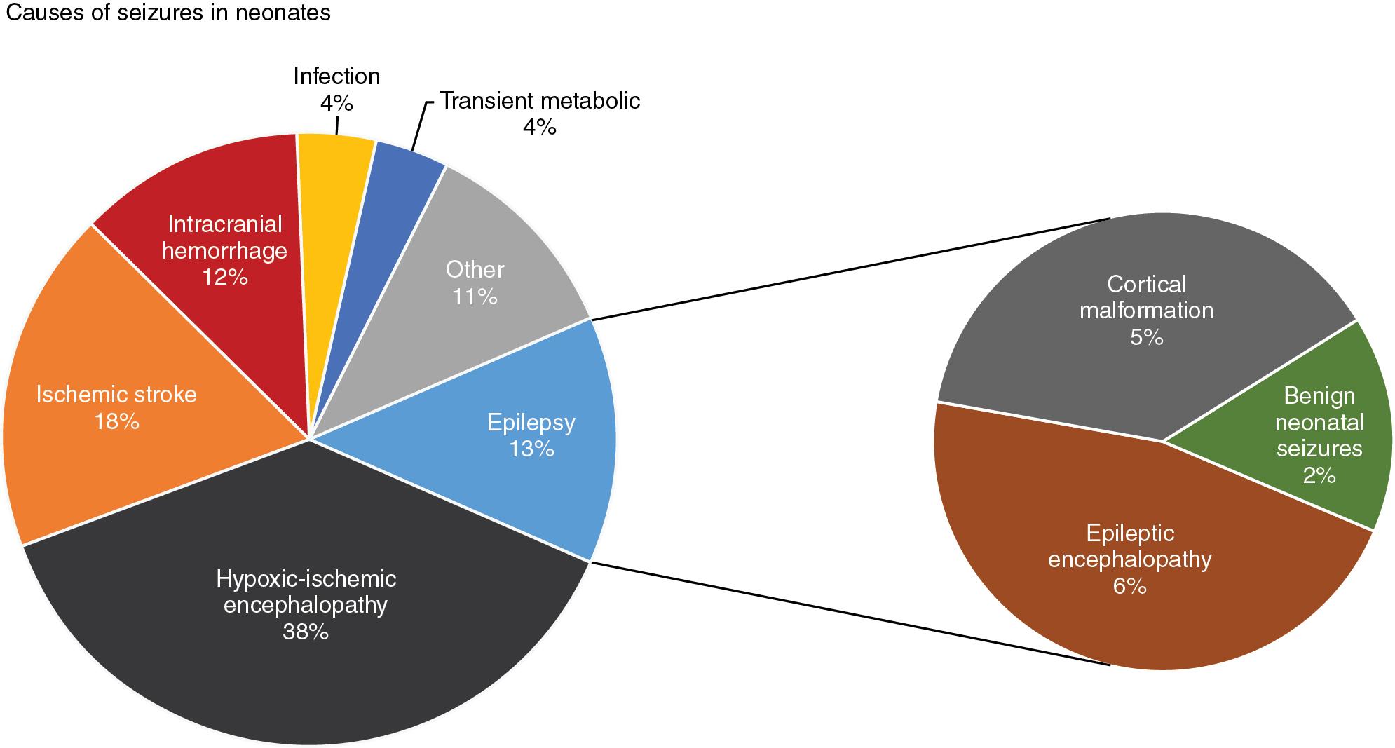 Fig. 19.1, Causes of seizures in neonates. The etiology of seizures for most neonates is acute brain injury with hypoxic–ischemic encephalopathy and ischemic and hemorrhagic stroke accounting for the majority. A sizeable minority, however, represent neonatal-onset epilepsies associated with cerebral malformations and/or genetic causes.