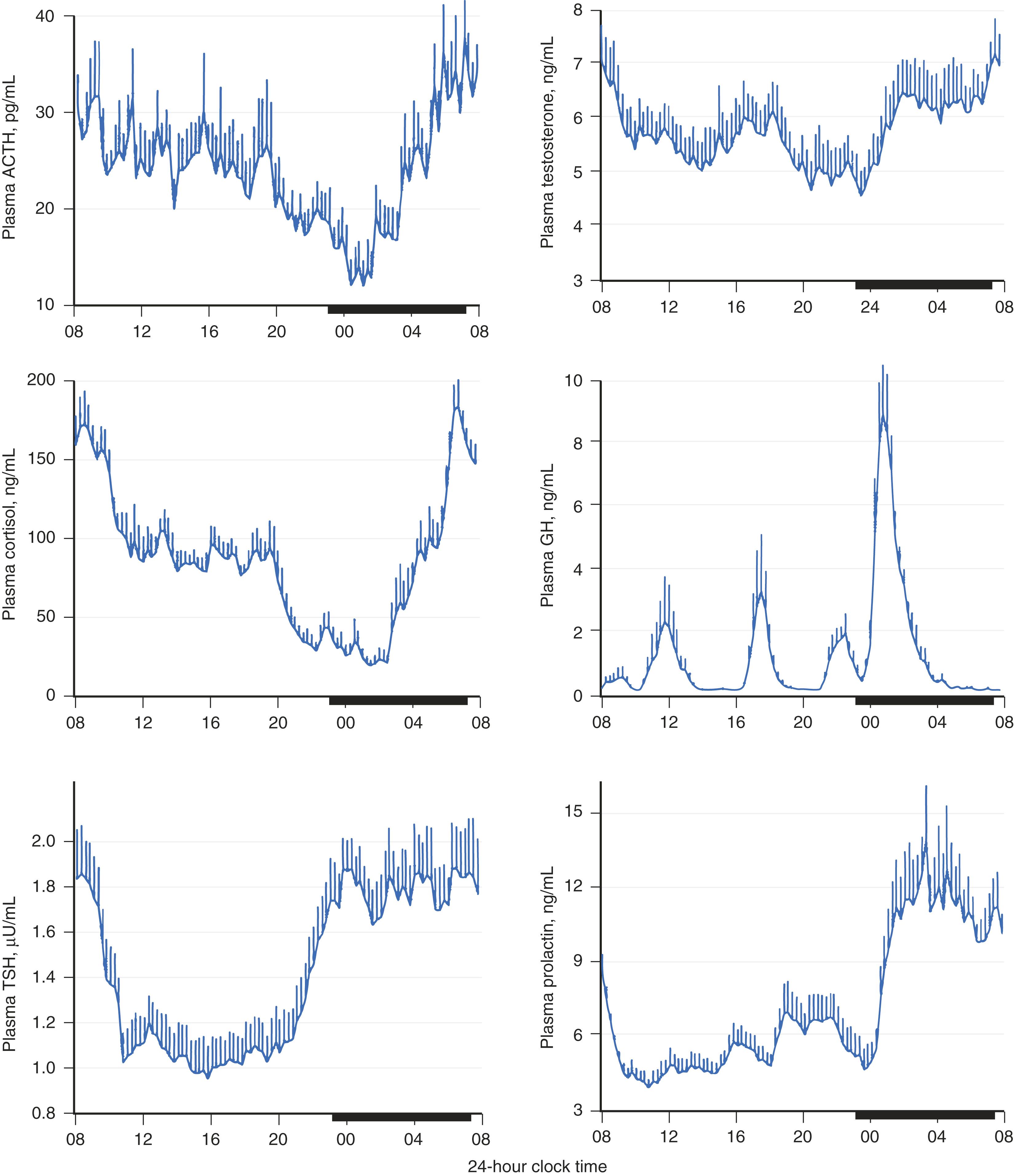 E-FIGURE 204-1, Hormonal circadian rhythms.