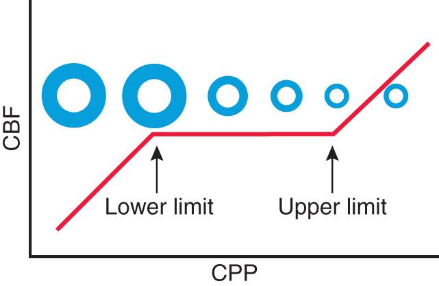 Fig. 85.3, Schematic of the relationship between cerebral blood flow (CBF) and cerebral perfusion pressure (CPP).