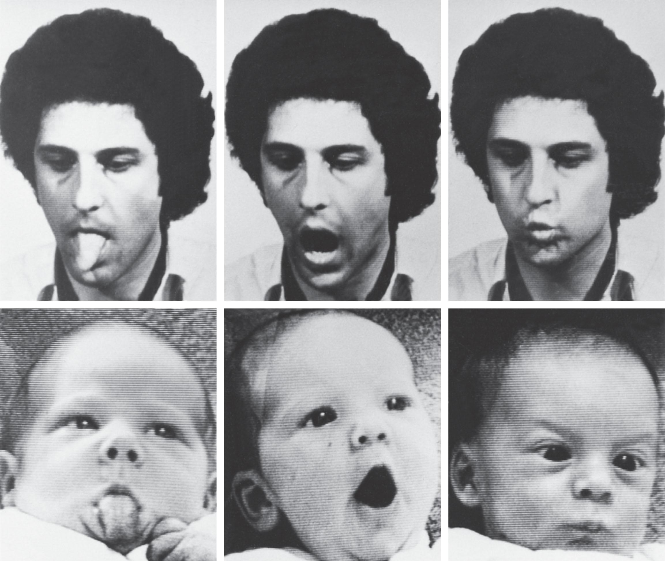 Fig. 12.6, Imitation of facial gestures. Sample photographs from videotape recordings of 2- to 3-week-old infants imitating tongue protrusion, mouth opening, and lip protrusion demonstrated by an adult experimenter.