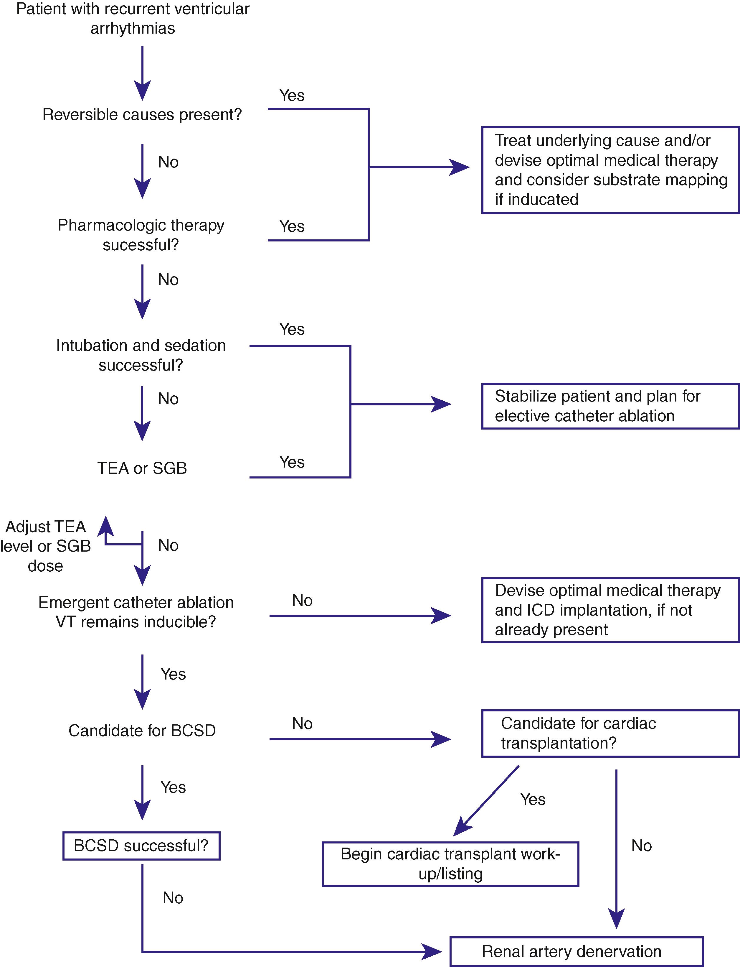 Fig. 137.4, Strategy for management of patients with refractory ventricular arrhythmias.