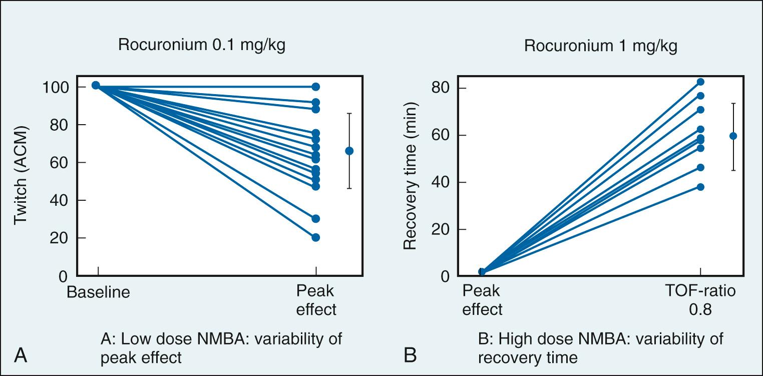 Fig. 22.2, Variability of peak effect and recovery times determined with mechanomyography in response to low-dose (A) or high-dose (B) rocuronium in 20 children aged 2 to 8 years. In one child, rocuronium 0.1 mg/kg did not decrease muscle strength whereas muscle strength was almost completely abolished in another. After rocuronium 1 mg/kg, recovery of a train-of-four ratio to 0.9 varied from 30 to 85 minutes.