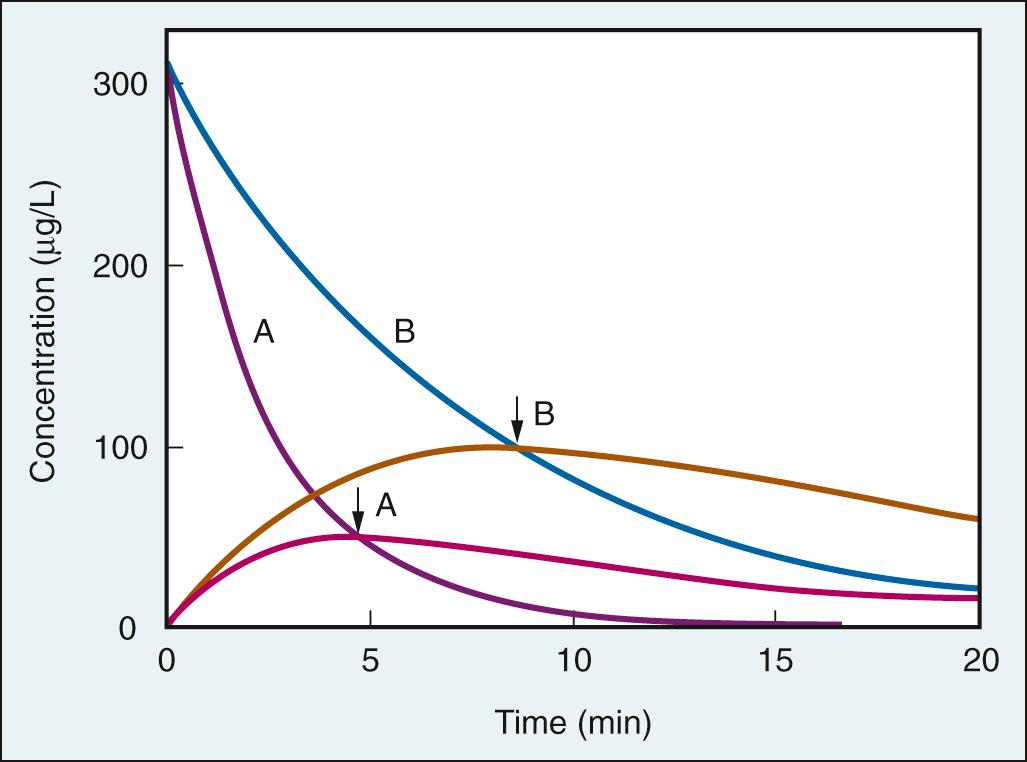 Fig. 22.5, Theoretical changes following a bolus dose of neuromuscular blocking agent (NMBA), in its concentration in plasma (blue and purple lines) and in the biophase (orange and pink lines) over time. The concentration of the NMBA in plasma decreases as a result of its clearance from plasma (curve A) . The concentration in the biophase increases because of transfer of NMBA from plasma to the biophase. When the concentrations in plasma and biophase are similar (arrow A) , the maximum concentration in the biophase is reached and the peak effect is obtained. The time required for equilibration between plasma and the biophase determines the onset time. If the NMBA is administered in the same dose but has a reduced clearance (curve B) , equilibration occurs later (arrow B) and at a higher maximum concentration in the biophase. Onset time is prolonged and the peak effect is greater.