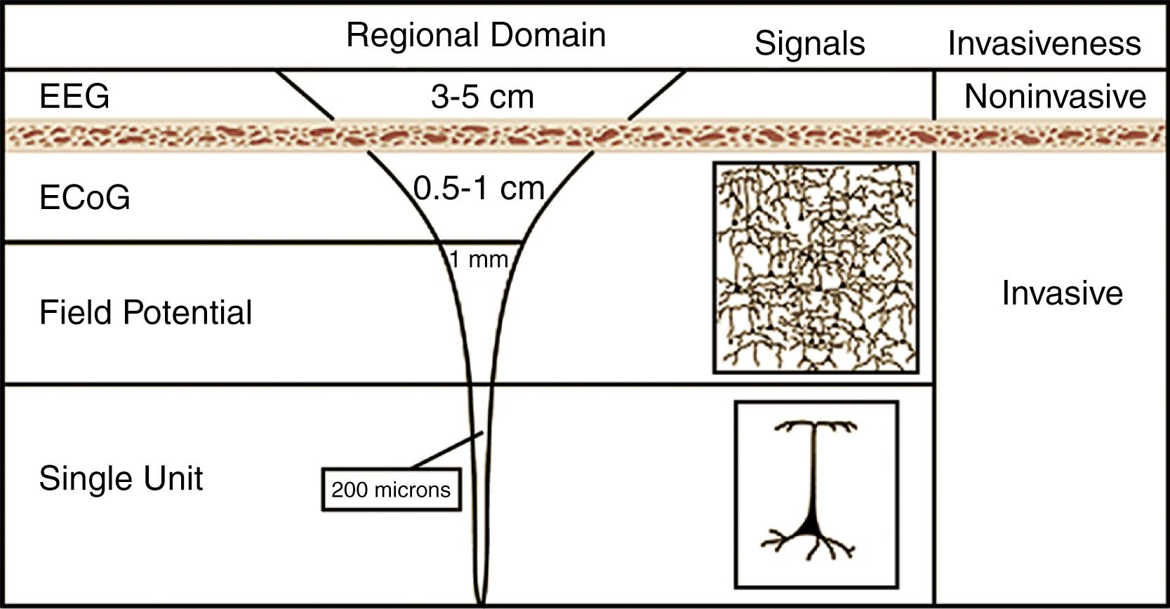 Figure 132.2, Cortical recording interfaces.