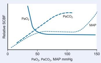 Fig. 21.10, Illustration of effect of changes in PaCO 2 , PaO 2 , and mean arterial pressure (MAP) on spinal cord blood flow (SCBF).