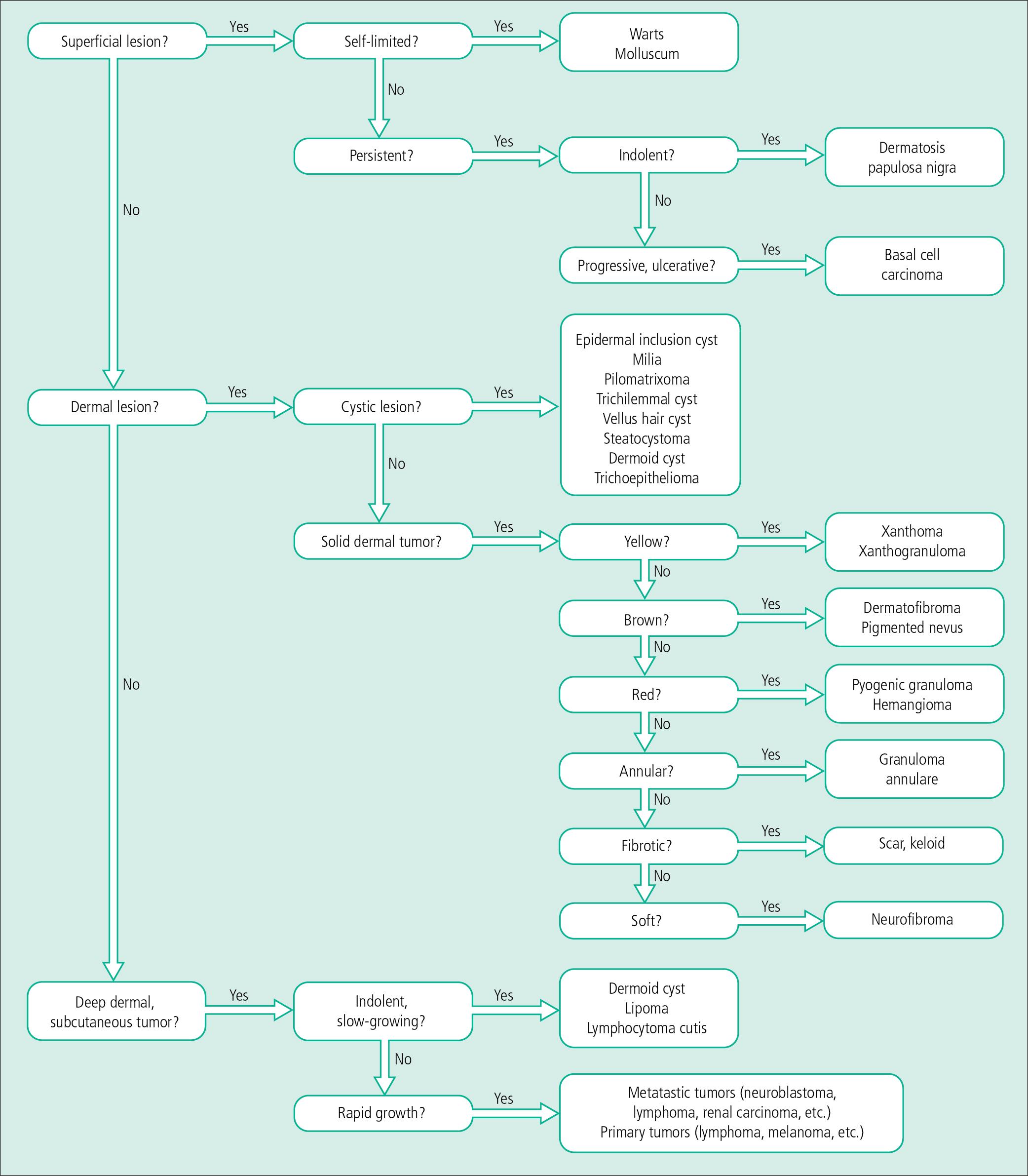 Fig. 5.39, Algorithm for evaluation of nodules and tumors.