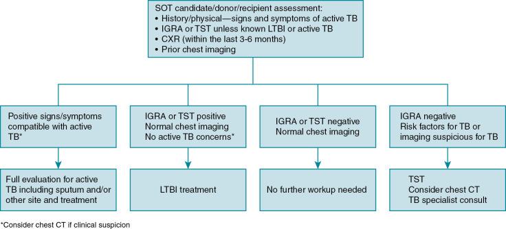 Fig. 16.1, Algorithm for tuberculosis screening/evaluation in solid organ transplant candidate/ donor/ recipient. CT , computed tomography, CXR , chest x-ray; IGRA , interferon-gamma release assay; LTBI , latent tuberculosis infection; SOT , solid organ transplant; TB , tuberculosis; TST , tuberculin skin test.