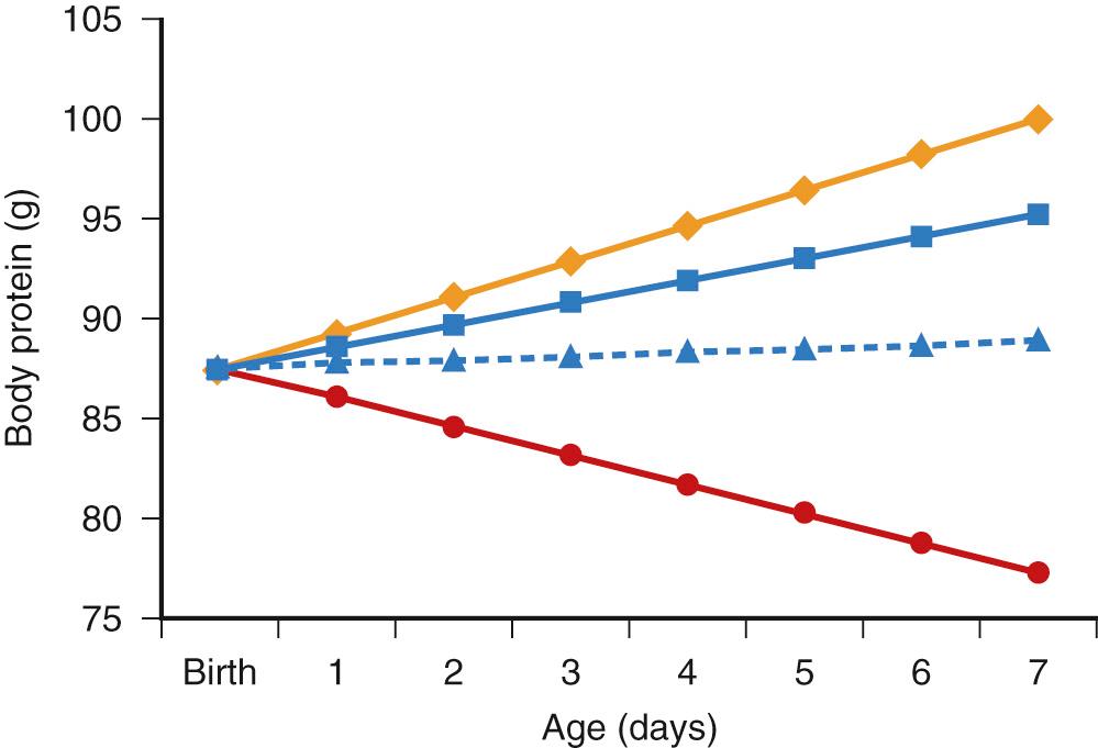 Fig. 41.1, Change in body protein over the first week of postnatal life for a theoretical 1000-gram birth weight, 26 weeks’ gestation infant provided with 1 g/kg/day ( blue line with dashes ) and 3 g/kg/day ( solid blue line ) of intravenous amino acids. 95 104 Rate of in utero protein gain for the reference fetus ( yellow line ) and extrapolated rates of protein loss for glucose alone 24 ( red line ) are shown for comparison.