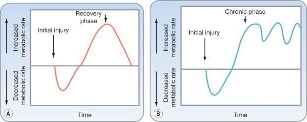 Fig. 28.1, Metabolic response to injury and trauma. Burn patients transition from the initial hypermetabolic response directly into a state of chronic hypermetabolism. (A) Classic ebb and flow phases of the acute stress response. The metabolic rate initially falls below normal and then increases to supranormal levels before returning to normal. (B) Ebb and flow revisited. In burn patients, the classic ebb and flow pattern is altered. Recurrent bouts of sepsis superimposed over a baseline of burn-induced proinflammatory stimuli result in a fluctuating metabolic demand, which remains chronically elevated.