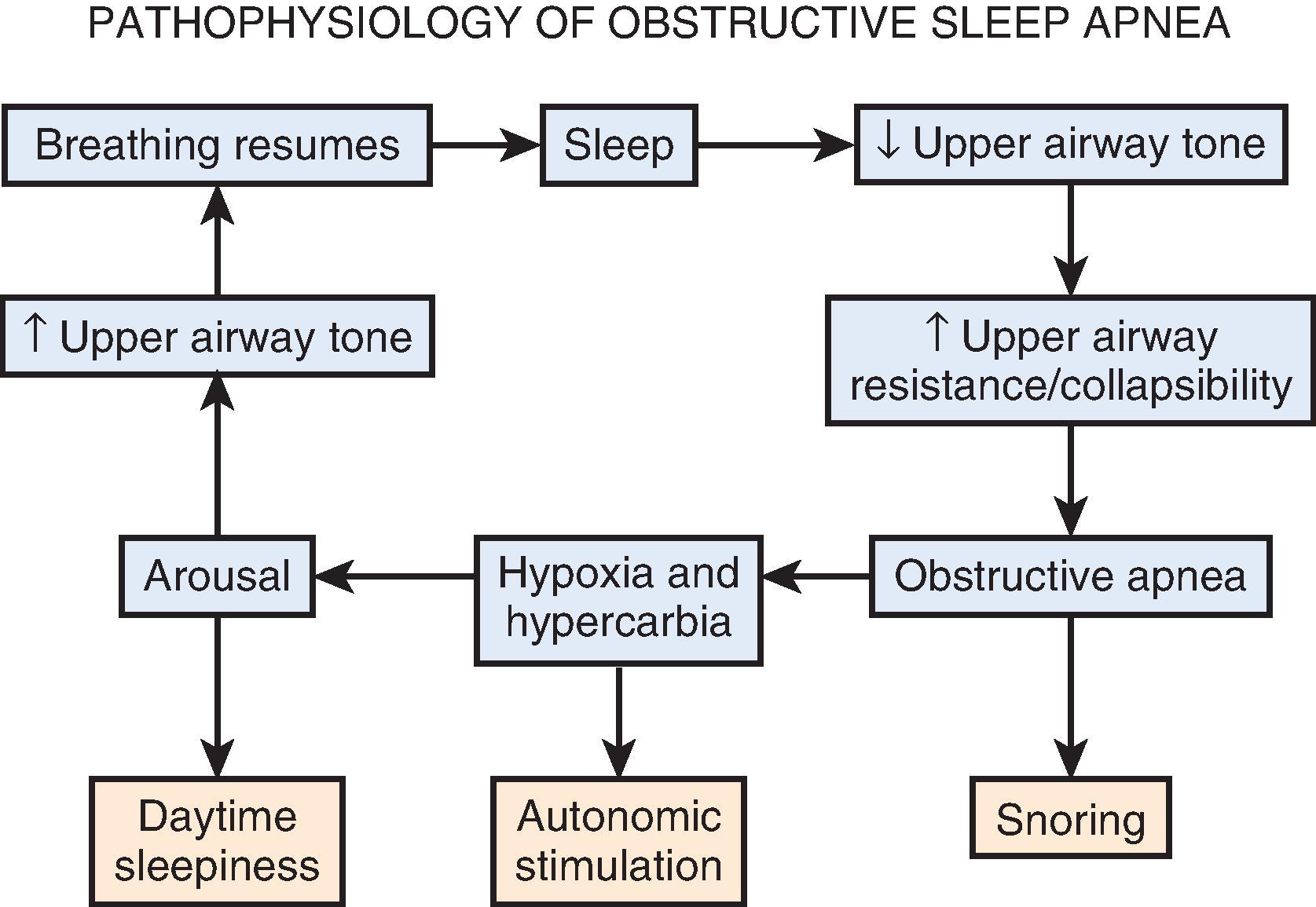 Fig. 40.2, Pathophysiology of obstructive sleep apnea.