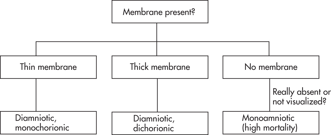 FIG. 10.15