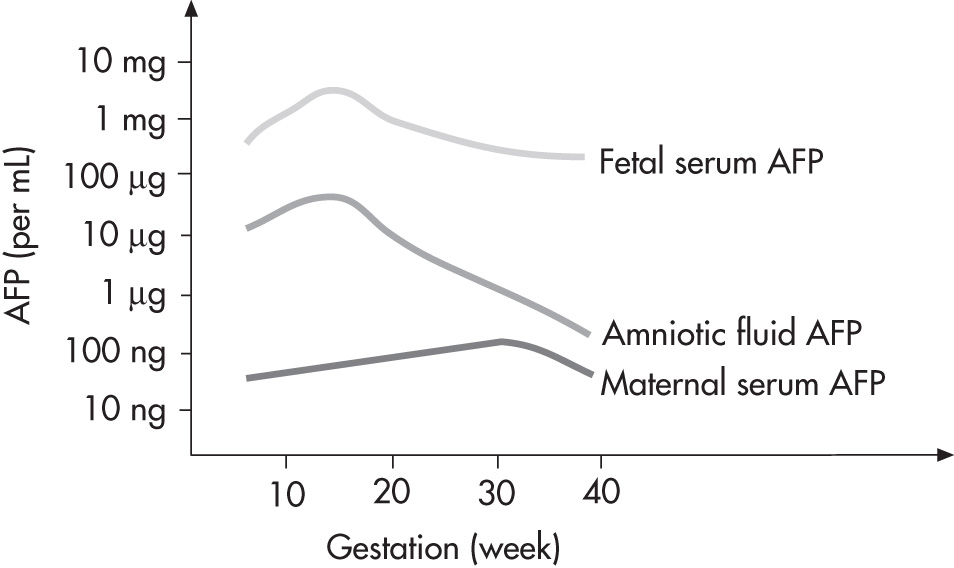 FIG. 10.2