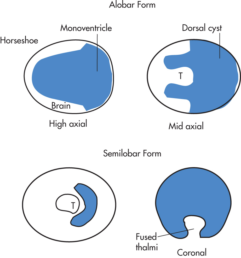 FIG. 10.20