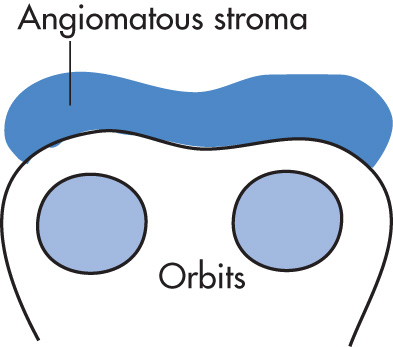 FIG. 10.24