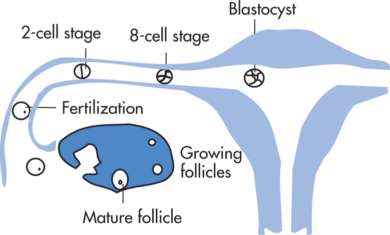 FIG. 10.4