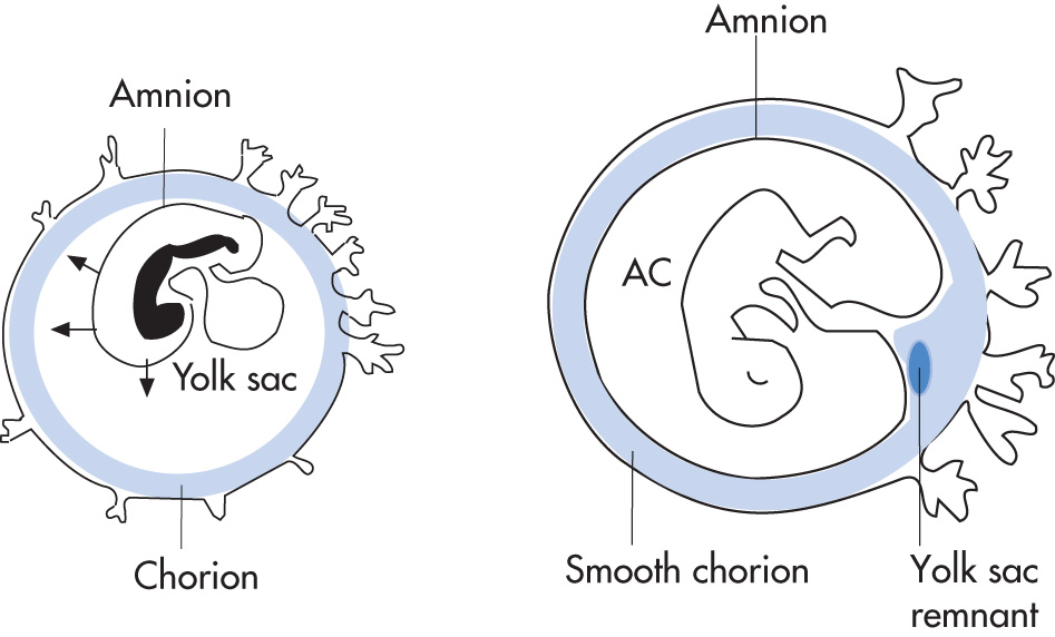 FIG. 10.5