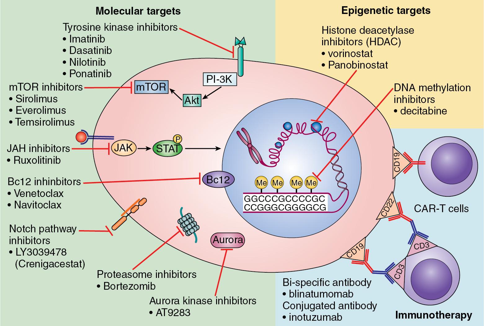 Fig. 50.3, Mechanisms of Therapy (molecular, epigenetic, and immunologic) for Pediatric ALL.